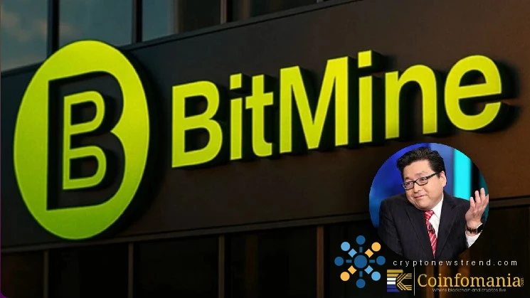 Neue Investitionswelle: Renommiertes Analystenunternehmen sichert sich mit einem Multimillionen-Dollar-Deal eine massive Ethereum-Beteiligung