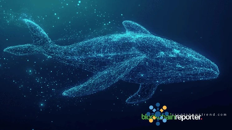 Major Investor Plows Seven Figures into Aggressive Oil Bet on Decentralized Trading Platform