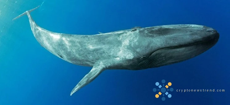 Quarterly losses of nearly $2.5 billion spark debate over whether bitcoin's low point has been reached.