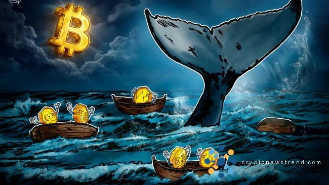 Bitcoin کے امیر تاجروں کو 2026 کی پہلی سہ ماہی میں روزانہ $337M کا نقصان ہوا۔