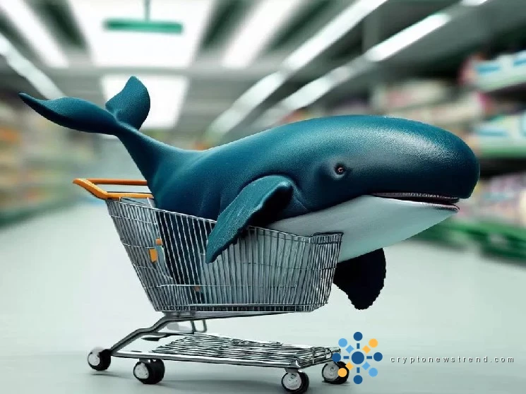 Ha habido una importante actividad de ballenas en Altcoins en las últimas horas: aquí están las transacciones que han realizado