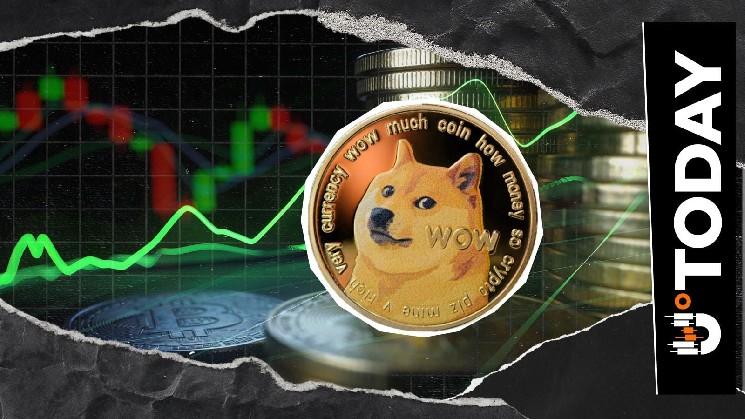 La liquidación de 4.897.291 cortos de DOGE se ve afectada a medida que los compradores regresan, ¿qué sigue?