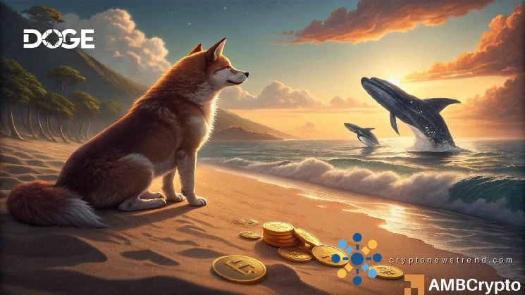 A massive half-billion dollar investor is betting big on Dogecoin, but will it be enough to shatter the cryptocurrency's current price ceiling of $0.091?