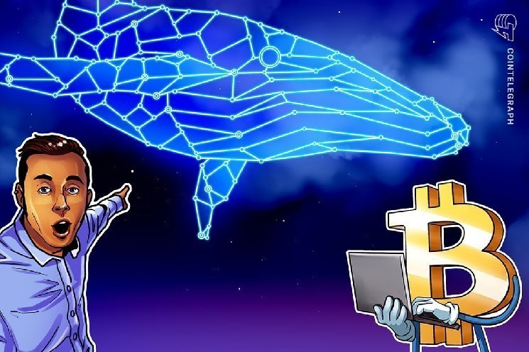 Les baleines Bitcoin recommencent à s'accumuler à 71 000 $ : Santiment
